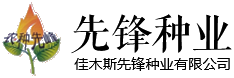 常德市江南城市發(fā)展有限公司